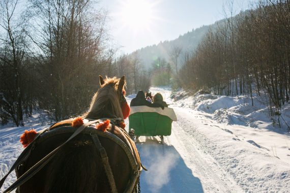 Pferdeschlittenfahrten - Winterurlaub in Eben im Pongau